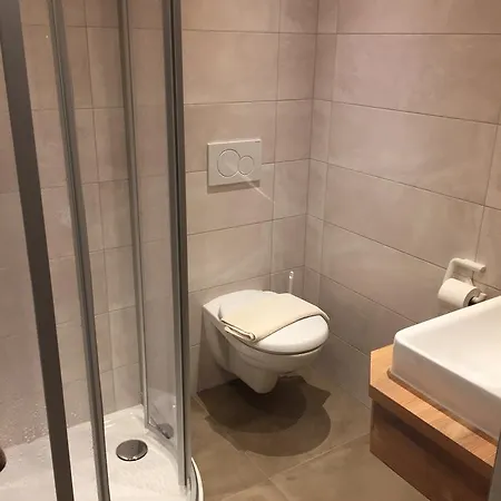 Garni Gruenmoos فندق سانكت جاكوب ان ديفر