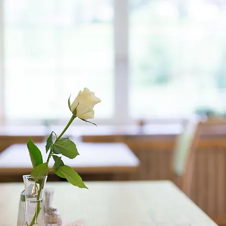 Garni Gruenmoos Hotel